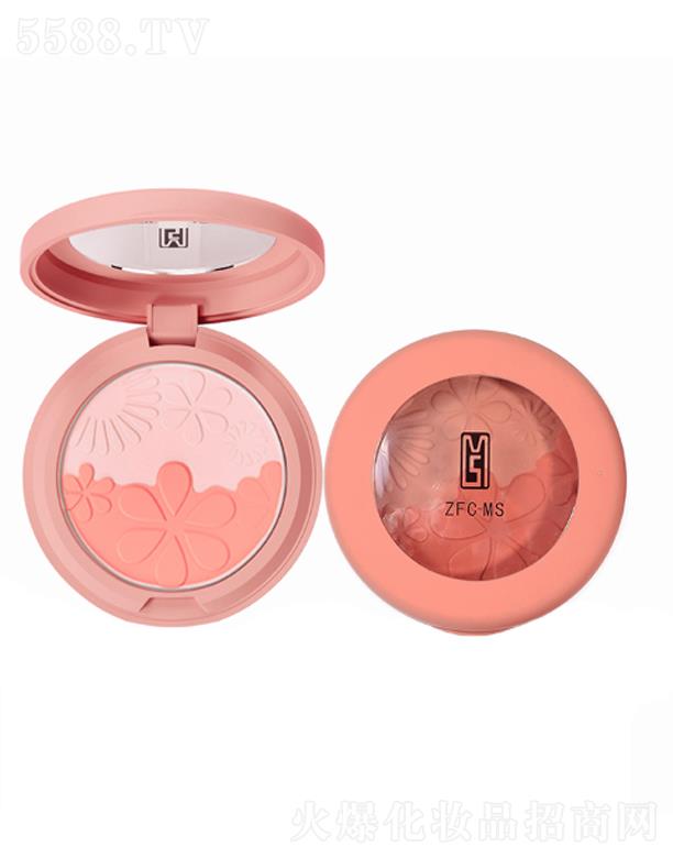 �V�����A�|������Ƽ����޹�˾��ZFC�Ȏ����\�pɫ���t