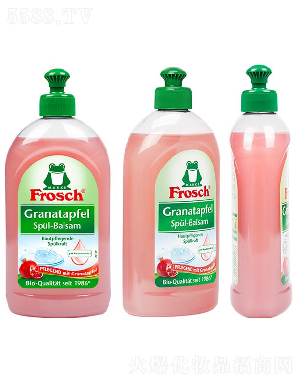Frosch{z h(hun)ʯs;ϴ¶ 500mlo(h)pܸ