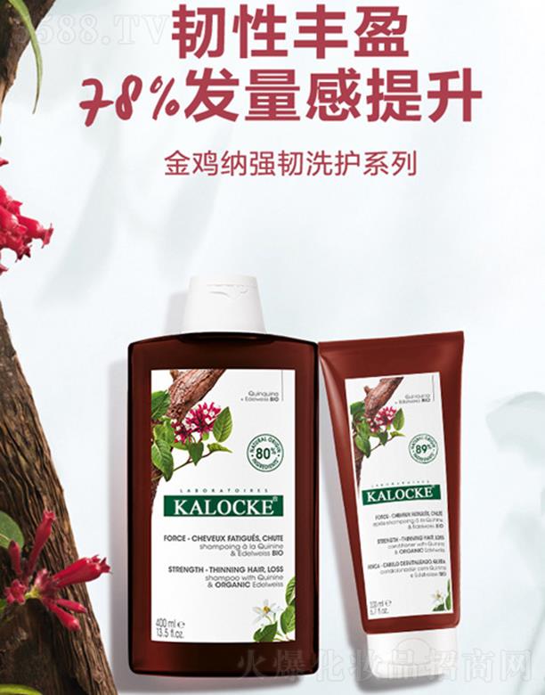 KALOCKEu{gϴoϵ