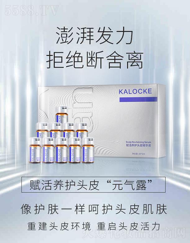 KALOCKExB(yng)o^ƤAҺ