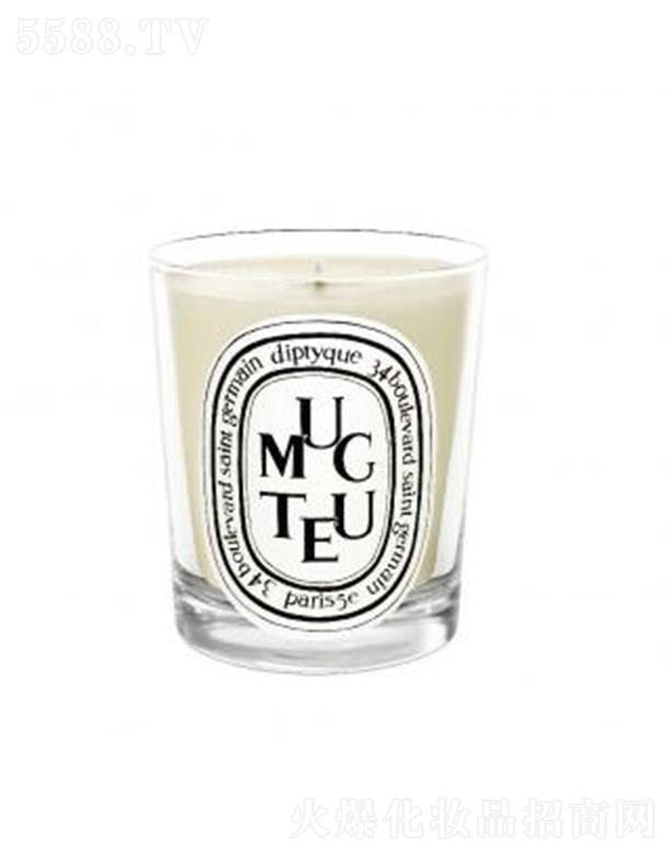 diptyqueϞT-m