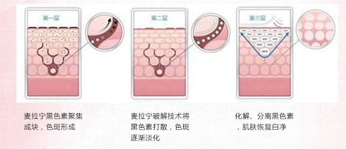 隆麗琦本草潤白修復霜套盒 隆麗琦本草潤白修復霜套盒