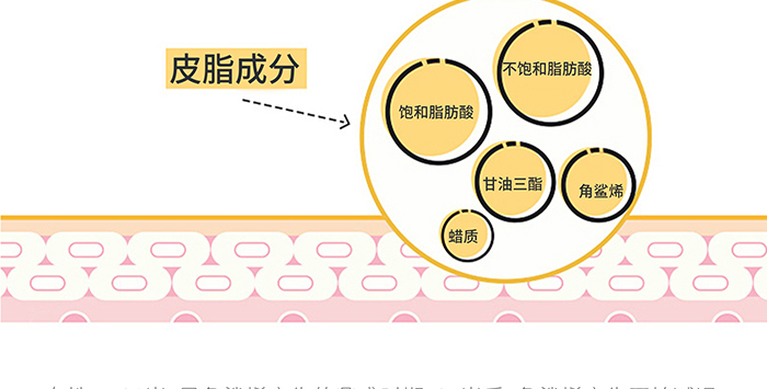 高地保濕修護霜 高地保濕修護霜