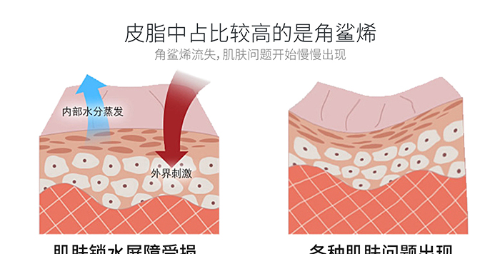 高地保濕修護霜 高地保濕修護霜